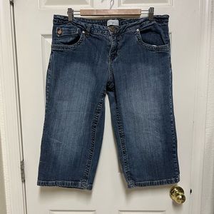 Venezia Blue Jean Long Shorts Lightly Distressed
